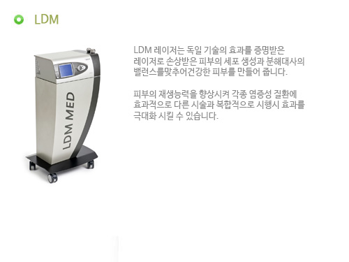 LDM
